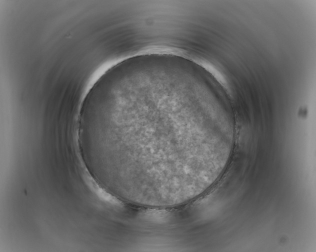 X0000091981094200709201421