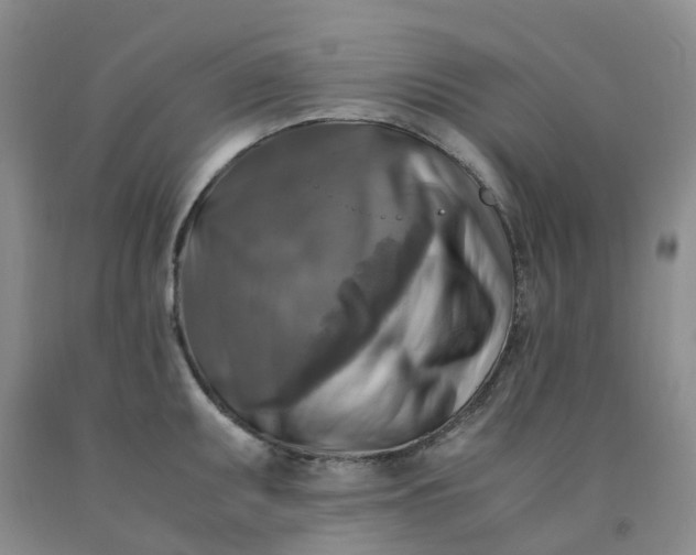 X0000091981095200709201421