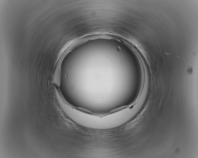 X0000091981097200709201421