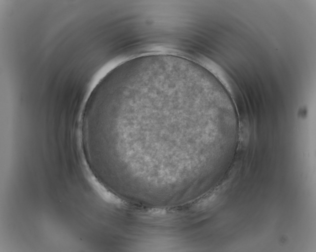 X0000091981098200709201421