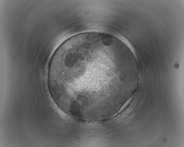 X0000091981099200709201421