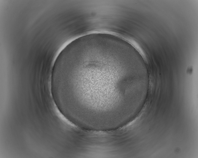 X0000091981100200709201421