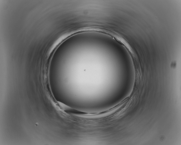 X0000091981101200709201421