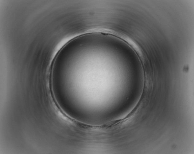 X0000091981102200709201421