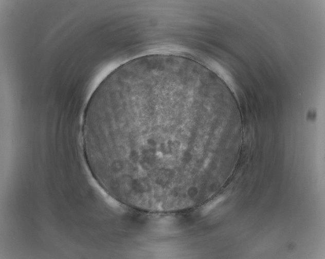 X0000091981103200709201421