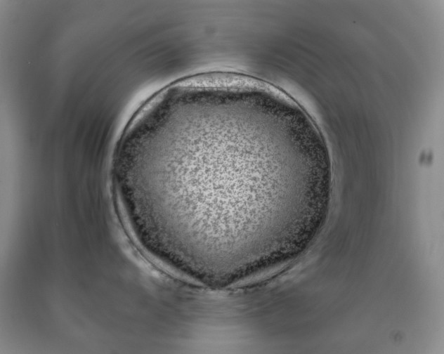 X0000091981104200709201421