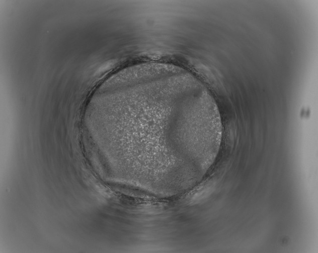 X0000091981105200709201421