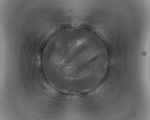 X0000091981106200709201421