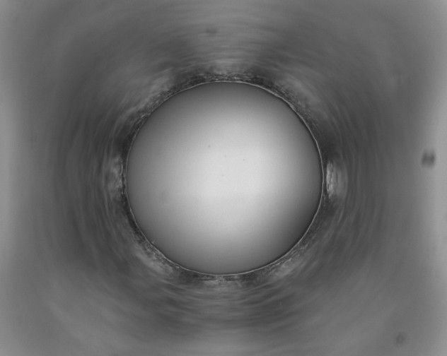 X0000091981107200709201421