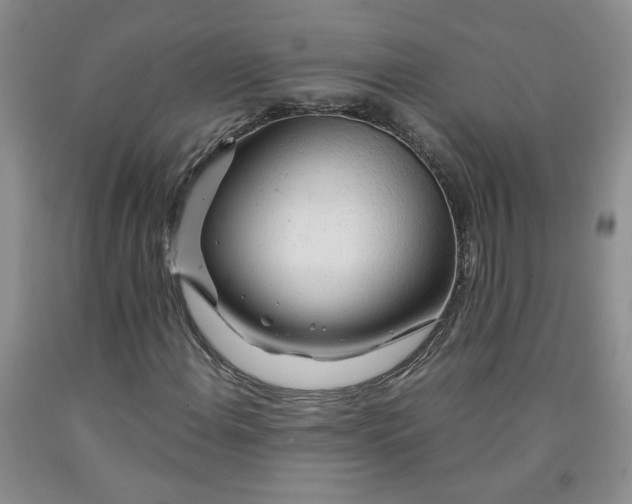 X0000091981108200709201421