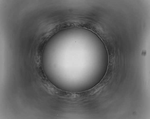 X0000091981109200709201421