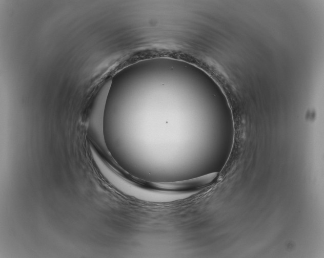 X0000091981110200709201421