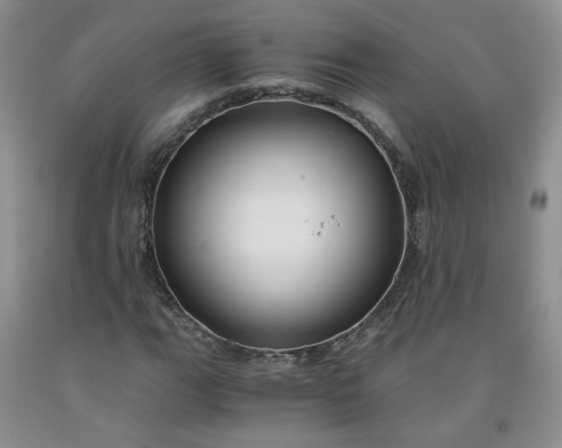 X0000091981111200709201421