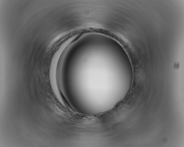 X0000091981112200709201421