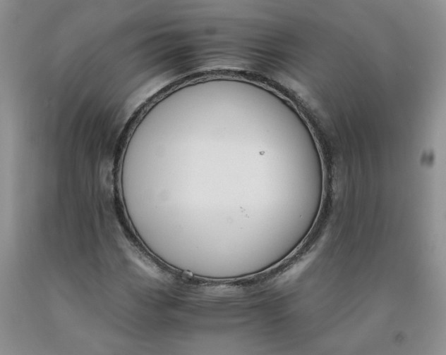 X0000091981113200709201421