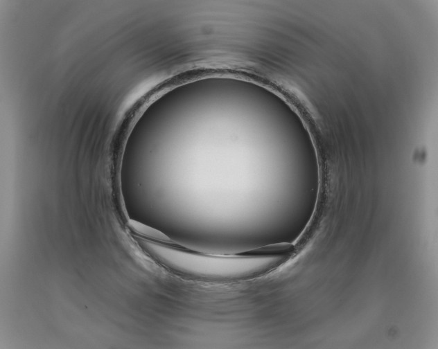 X0000091981114200709201421