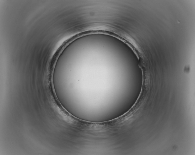 X0000091981116200709201421