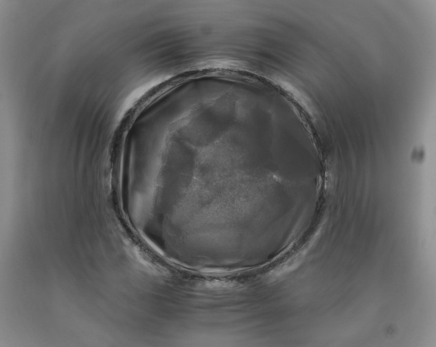 X0000091981117200709201421