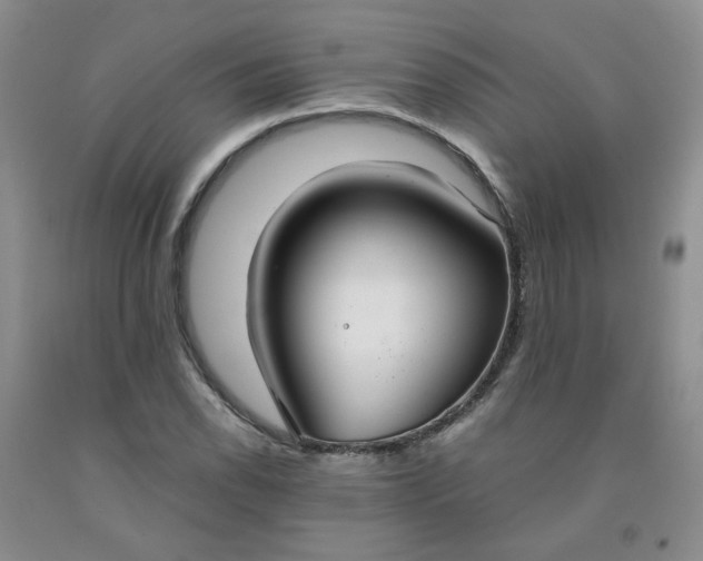 X0000091981118200709201421