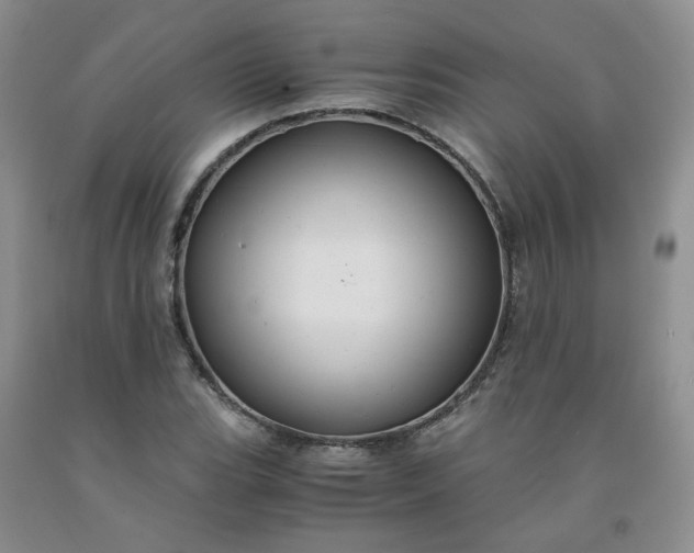 X0000091981119200709201421