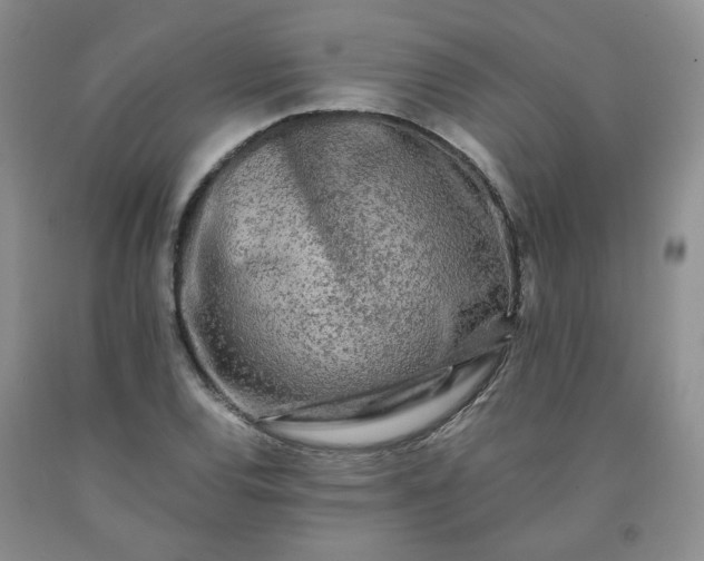 X0000091981120200709201421