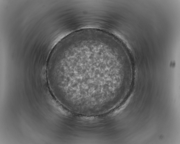 X0000091981121200709201421