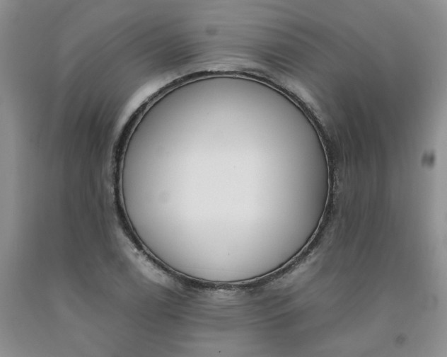 X0000091981122200709201421