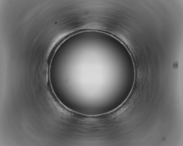 X0000091981123200709201421