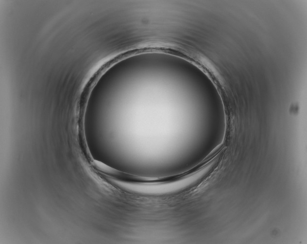 X0000091981124200709201421