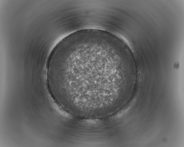 X0000091981125200709201421