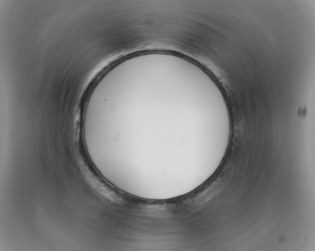 X0000091981126200709201421