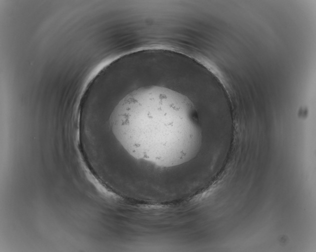 X0000091981127200709201421