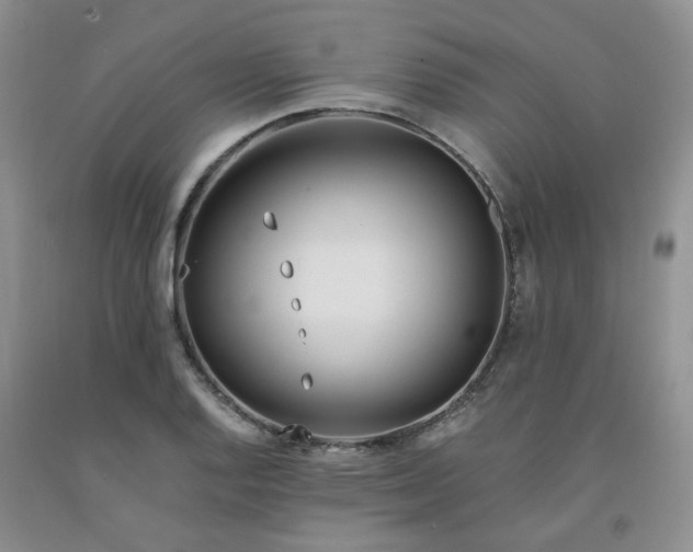 X0000091981128200709201421