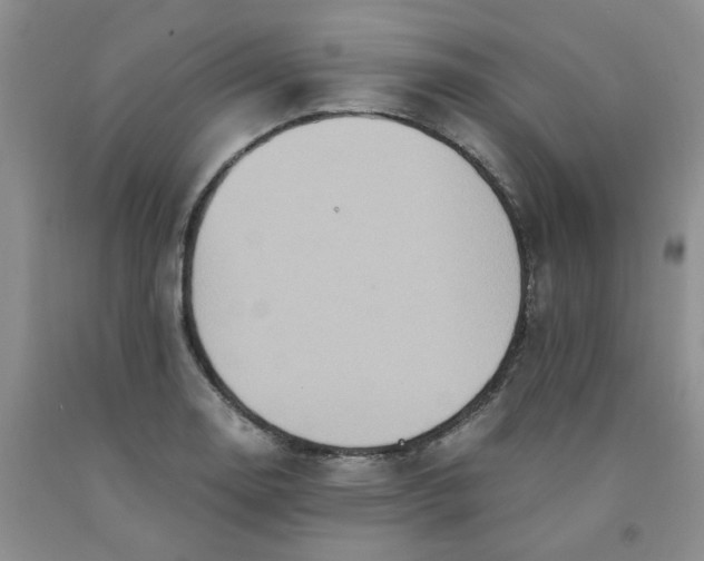 X0000091981130200709201421