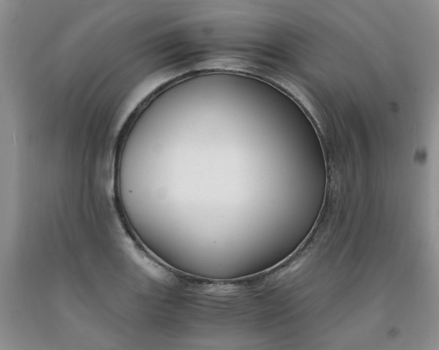 X0000091981131200709201421