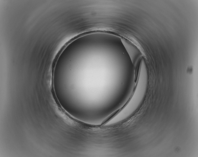 X0000091981132200709201421