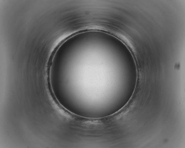 X0000091981133200709201421