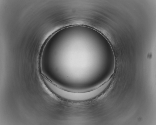 X0000091981134200709201421