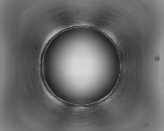 X0000091981135200709201421