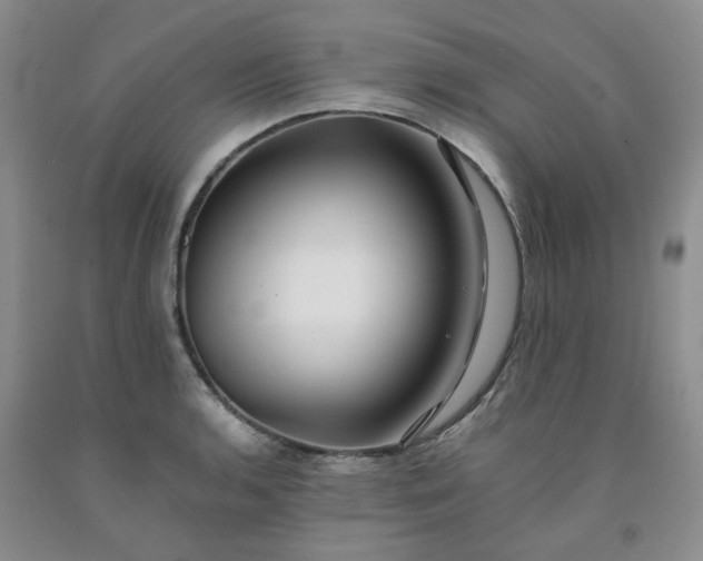 X0000091981136200709201421