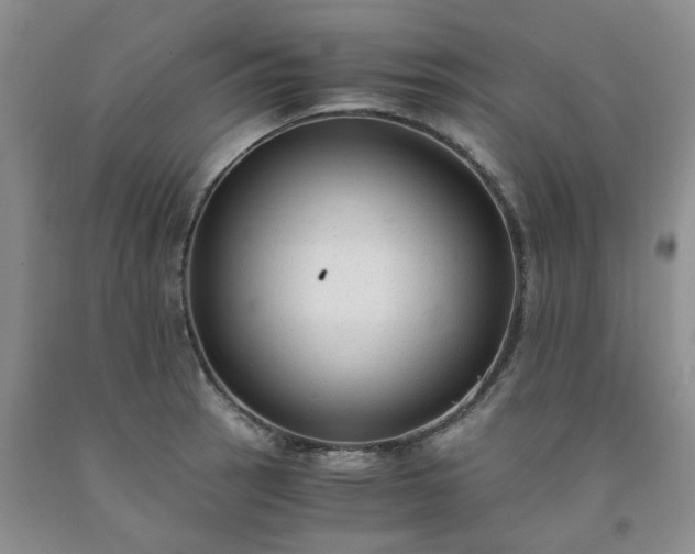 X0000091981137200709201421