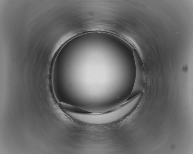 X0000091981138200709201421