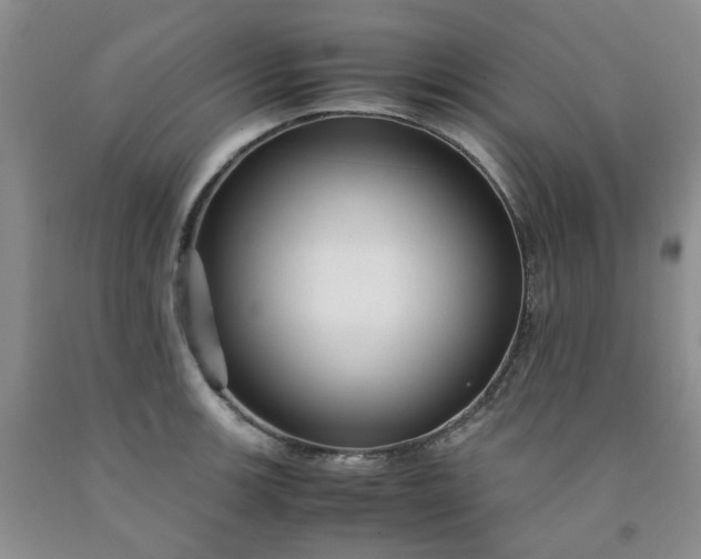 X0000091981139200709201421