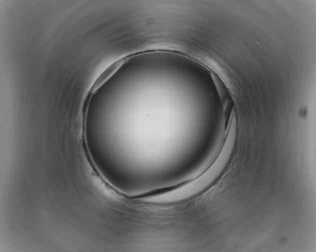 X0000091981140200709201421