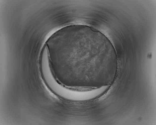 X0000091981141200709201421