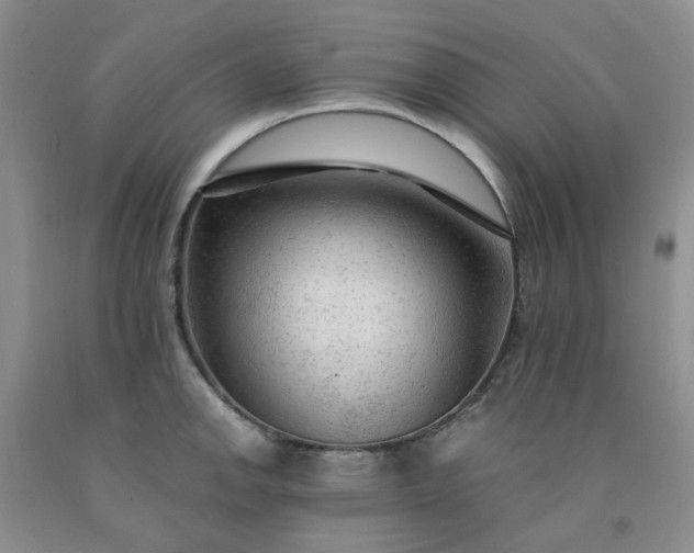 X0000091981142200709201421