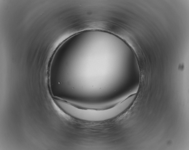 X0000091981143200709201421