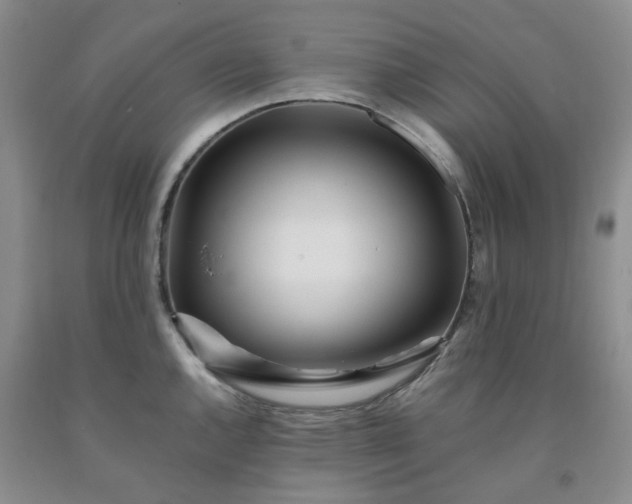 X0000091981144200709201421