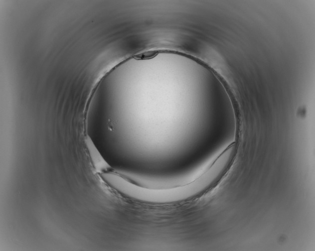 X0000091981145200709201421