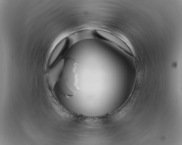 X0000091981146200709201421